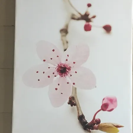 L'ostréi Hotel Arcachon